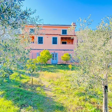 Arancia Quiet, Central, Parking And Air Conditioning