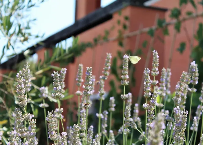 Arancia Quiet, Central, Parking And Air Conditioning Διαμέρισμα *