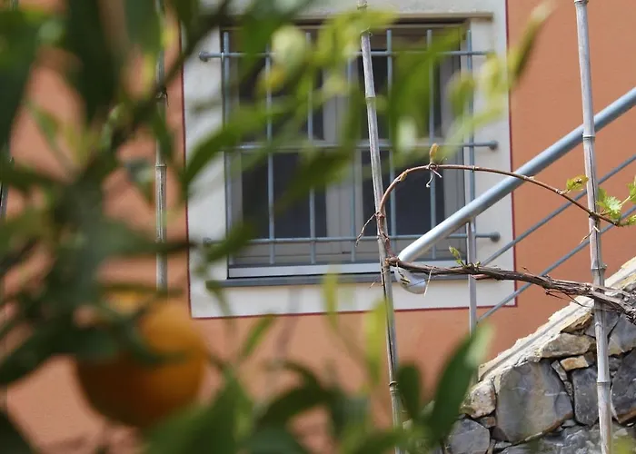 Arancia Quiet, Central, Parking And Air Conditioning