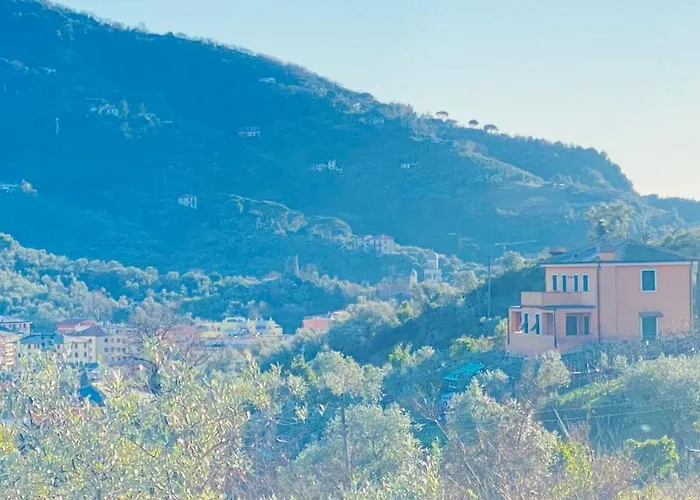 Arancia Quiet, Central, Parking And Air Conditioning