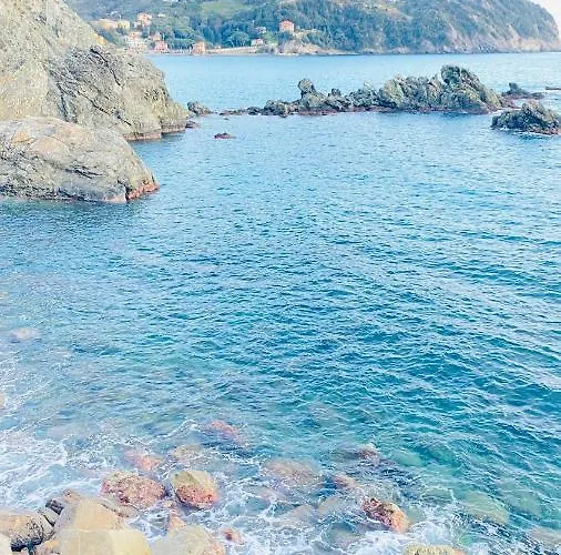 Arancia Quiet, Central, Parking And Air Conditioning