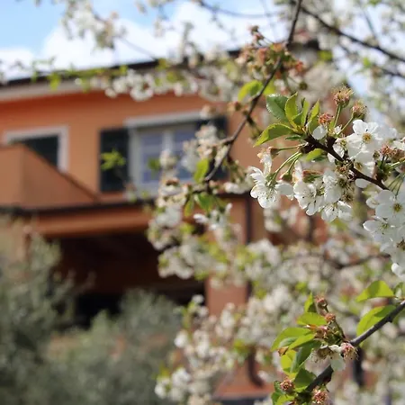 Arancia Quiet, Central, Parking And Air Conditioning * Levanto