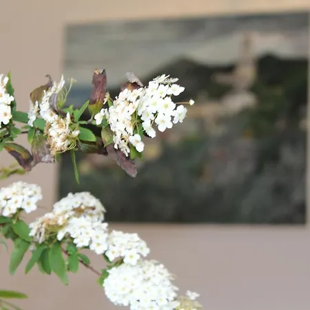 Arancia Quiet, Central, Parking And Air Conditioning Apartment Levanto