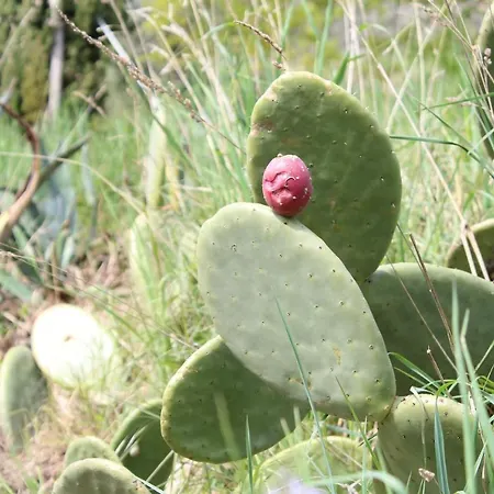 Arancia Quiet, Central, Parking And Air Conditioning 公寓