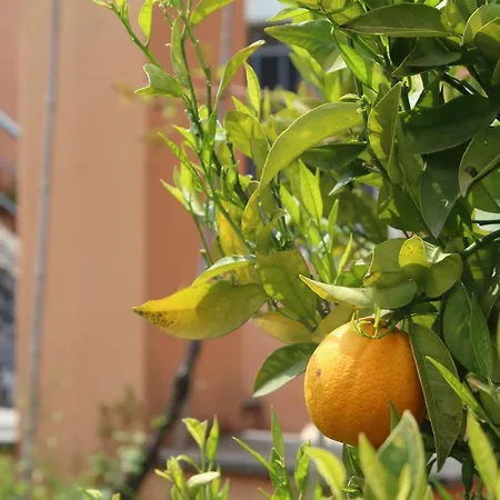 Arancia Quiet, Central, Parking And Air Conditioning *