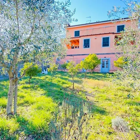 Apartment Arancia Quiet, Central, Parking And Air Conditioning