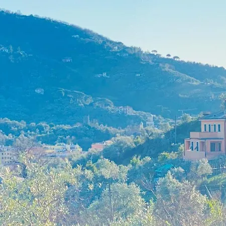 Arancia Quiet, Central, Parking And Air Conditioning