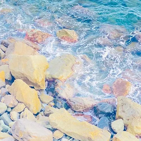 Arancia Levanto