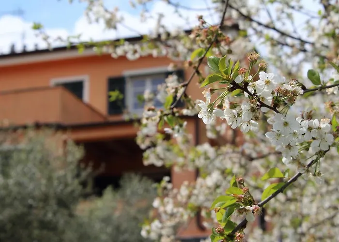 Arancia Quiet, Central, Parking And Air Conditioning * Levanto